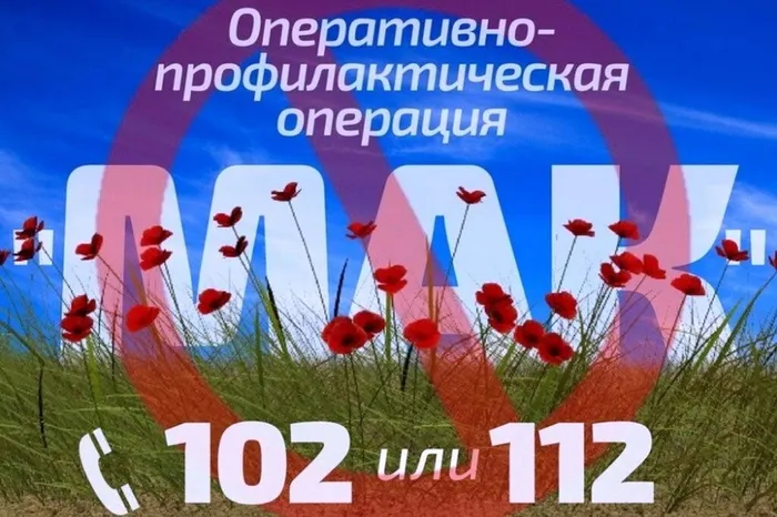 Риспыпы1