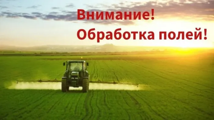 h20kt1t5l312jay7ex8hil7479j011jf (4)